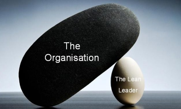 VITKO VODITELJSTVO V AGILNI POSLOVNI KULTURI