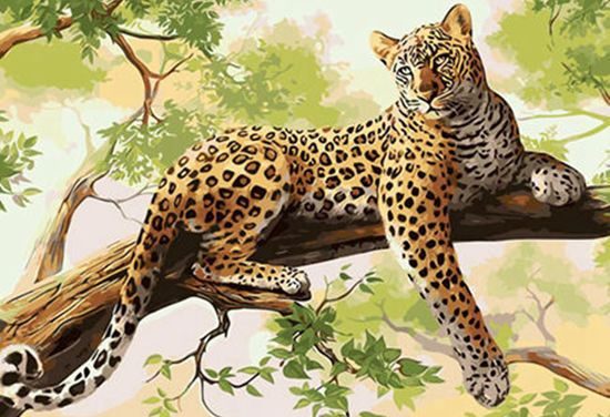 ŽIVALSKE BASNI O VODENJU: JAGUAR BRADLEY