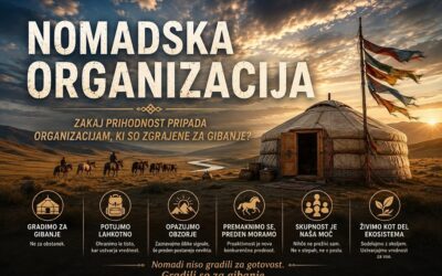 NOMADSKA ORGANIZACIJA